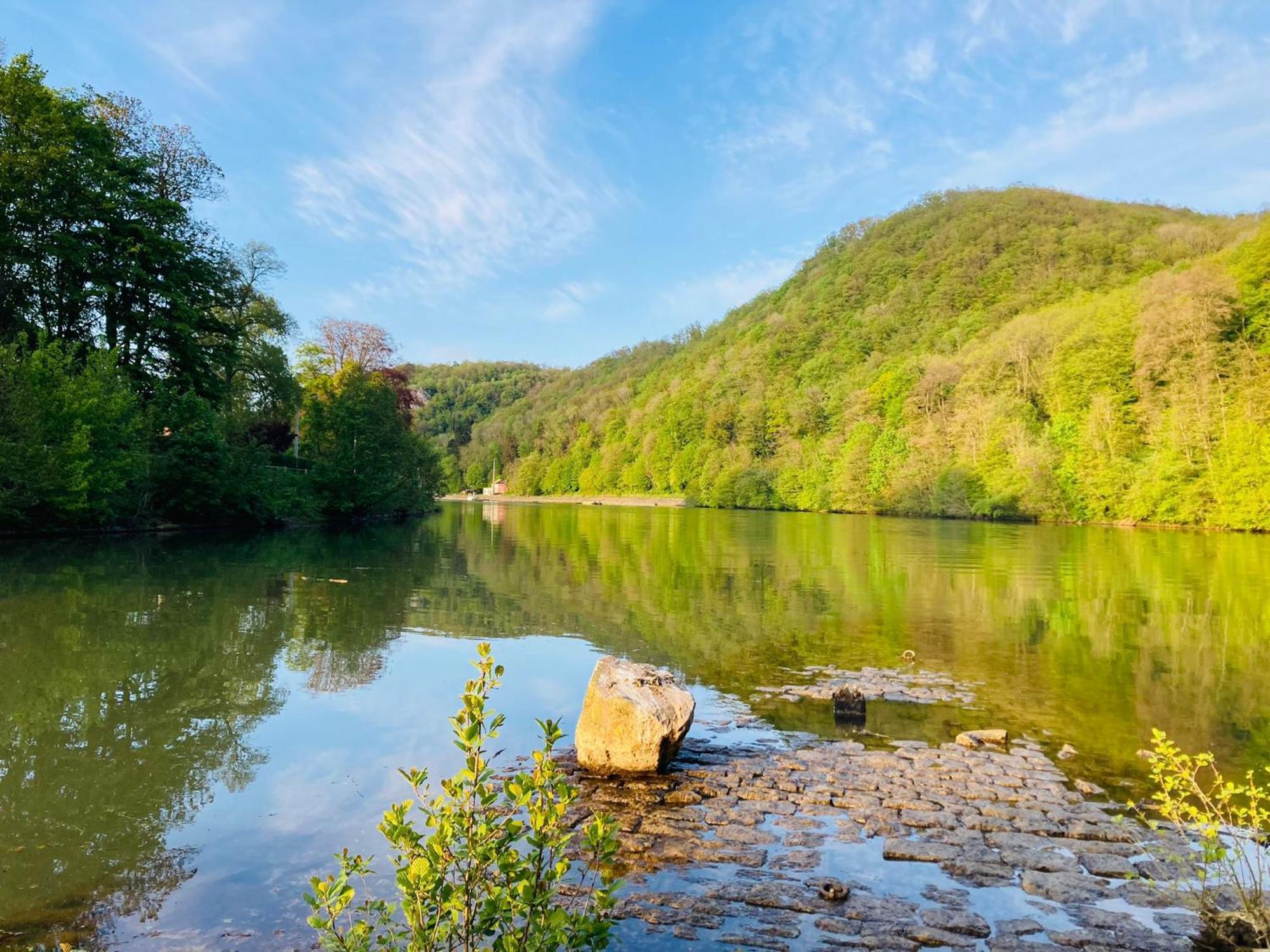Woody Lodge - Duplex Nature Bonsoy Ardennes Hastiere-par-dela Exterior foto