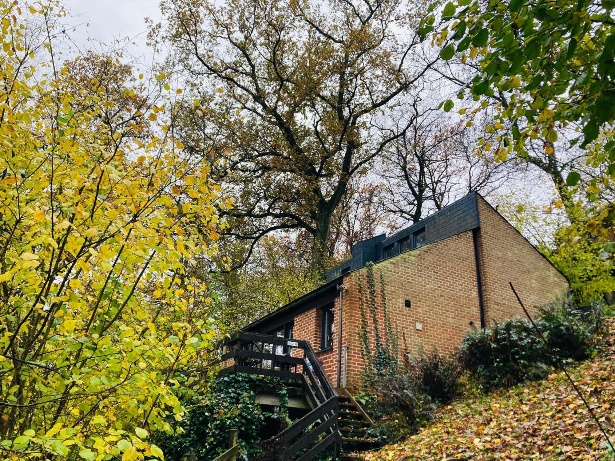 Woody Lodge - Duplex Nature Bonsoy Ardennes Hastiere-par-dela Exterior foto